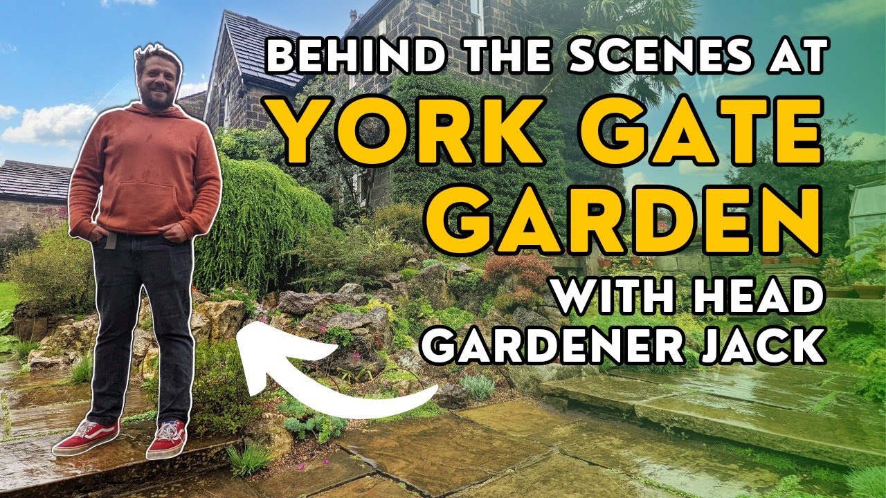 TROPICAL PLANT PARADISE! Behind the scenes at York Gate Garden, Leeds (BBC Gardeners' World 2023)
