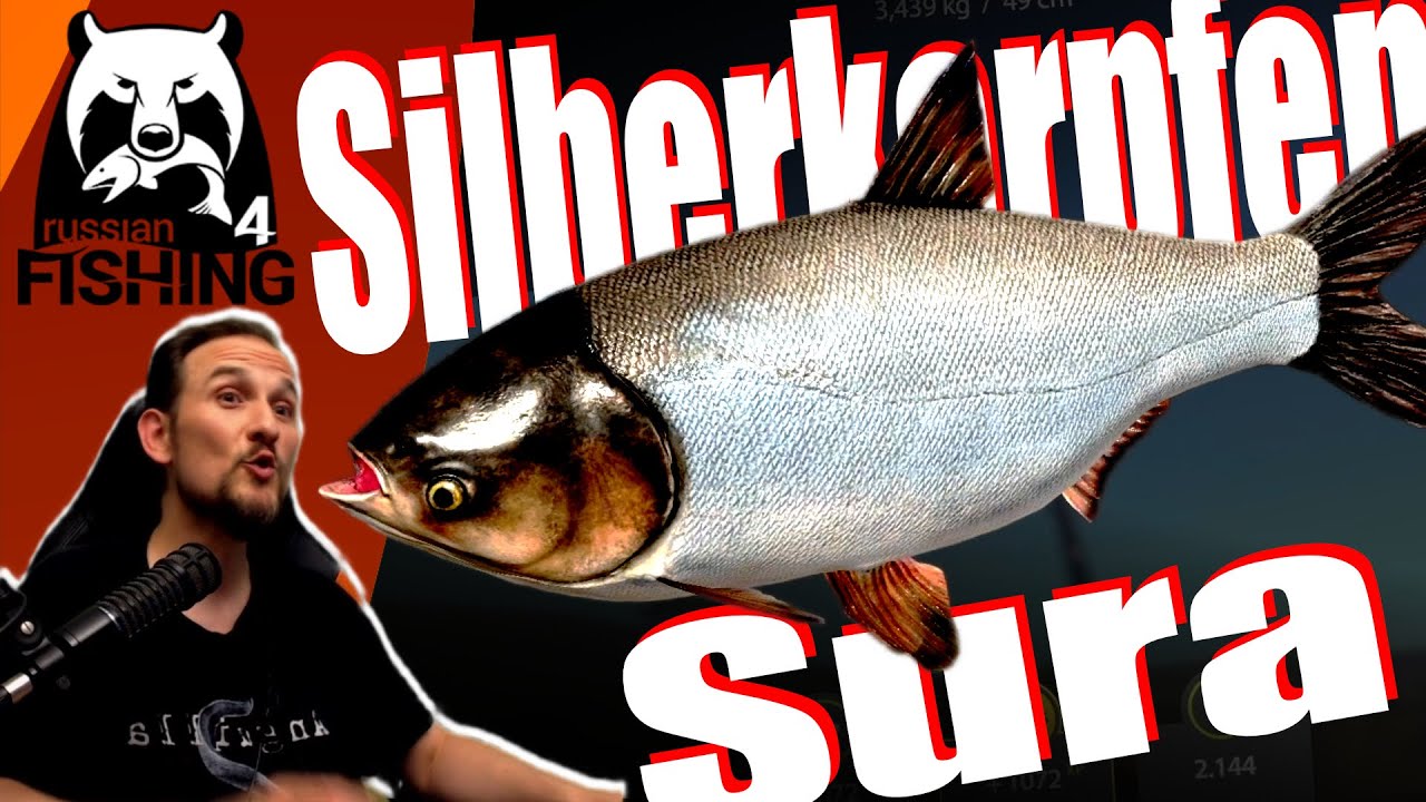 Russian Fishing 4 - Sura - Silberkarpfen, Marmorkarpfen, Wildkarpfen