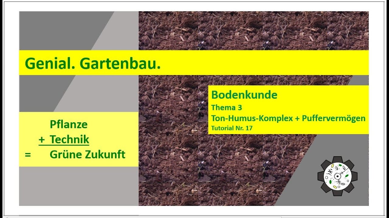 Bodenkunde | Ton-Humus-Komplex und Puffervermögen | Tutorial #17