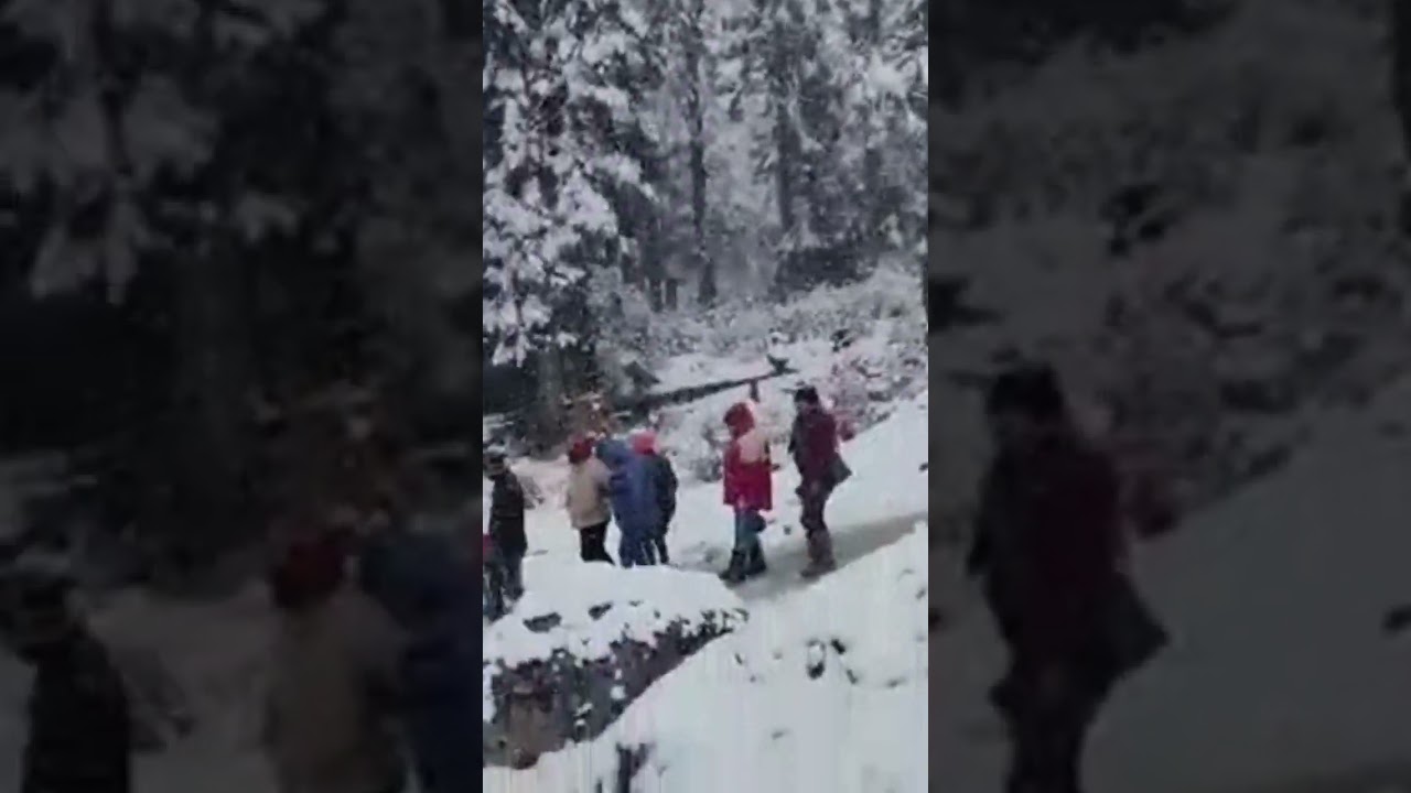 #snowfall #yumthang valley #gangtok