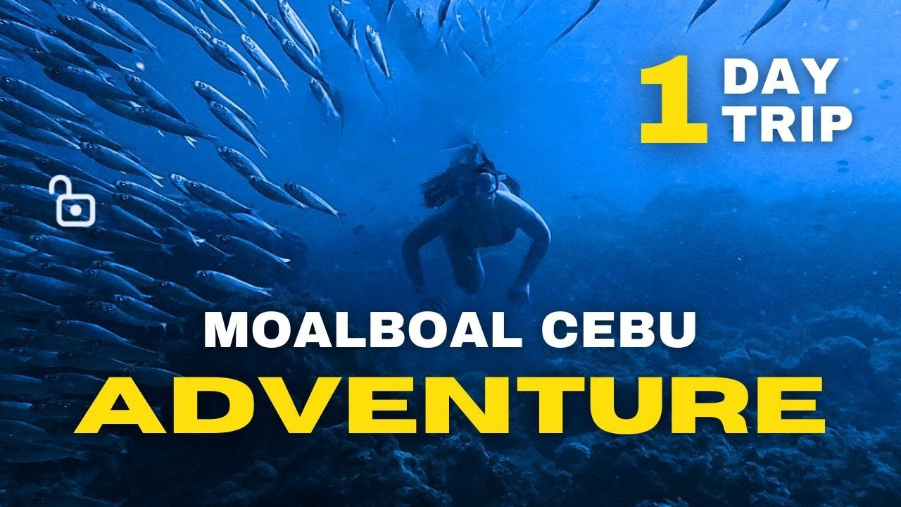 Epic Family Trip Canyoneering in Cebu Kawasan Falls + Moalboal Sardine Run & Turtles in 1 Day!