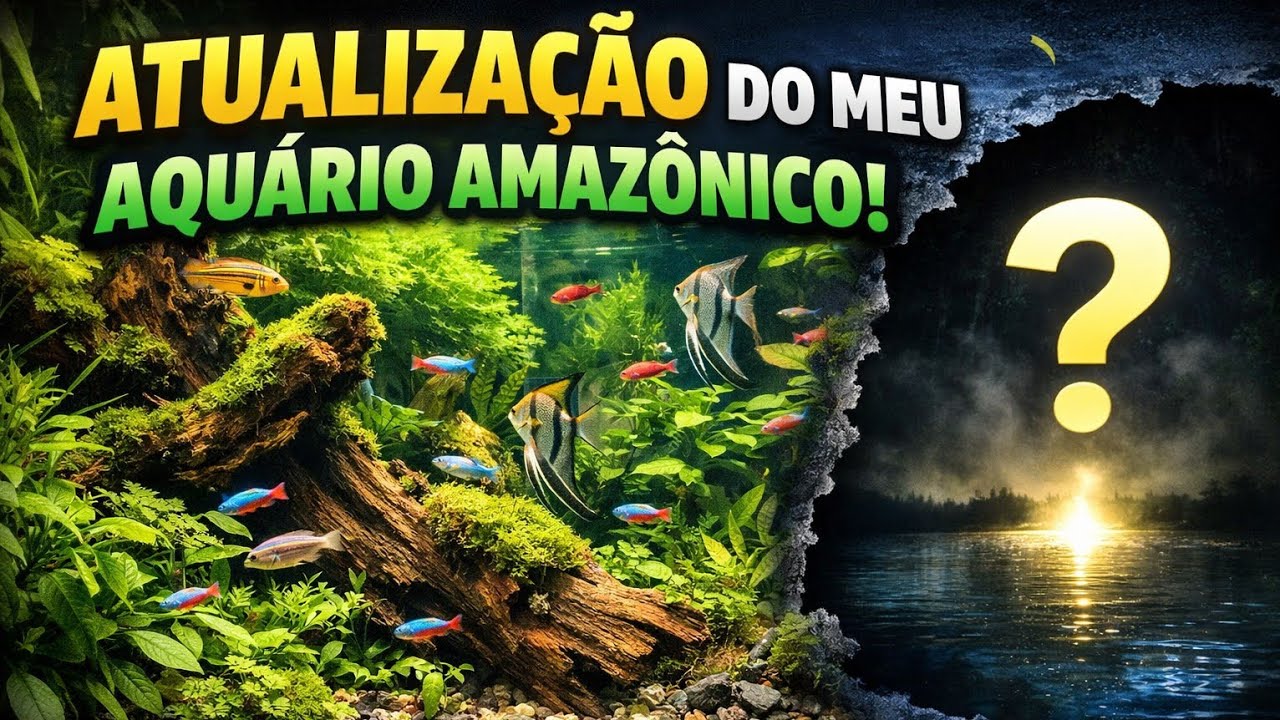 Atualização do Aquário Amazônico 🌱 | O Final Ninguém Esperava
