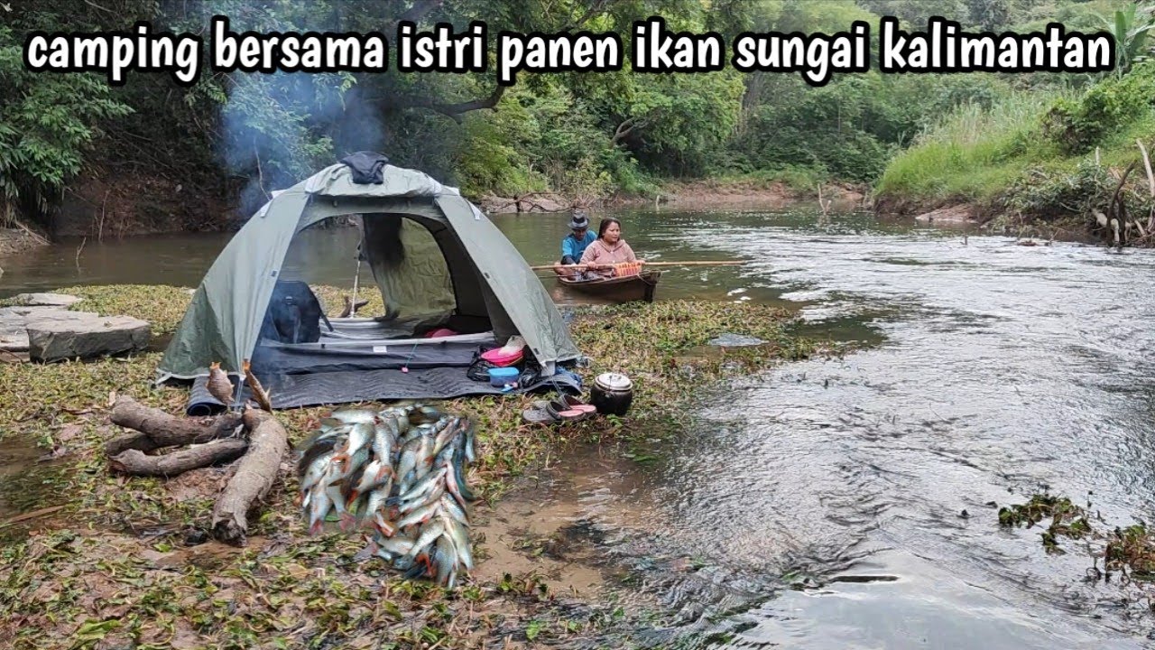 24jm camping tengah sungai istri senang ikan melimpah di sekeliling tenda
