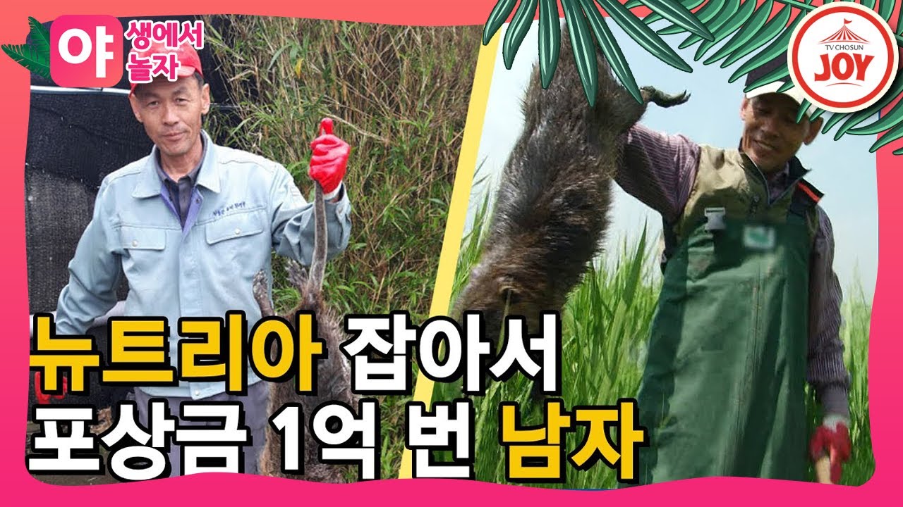 [야놀자] 괴물쥐 먹방! 갓잡은 뉴트리아 바로 찜해먹는 헌터 클라쓰!! ㅎㄷㄷ #TVCHOSUNJOY