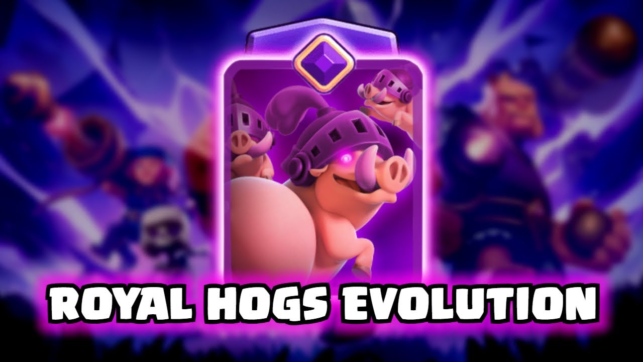 Royal Hogs Evolution | Clash Royale