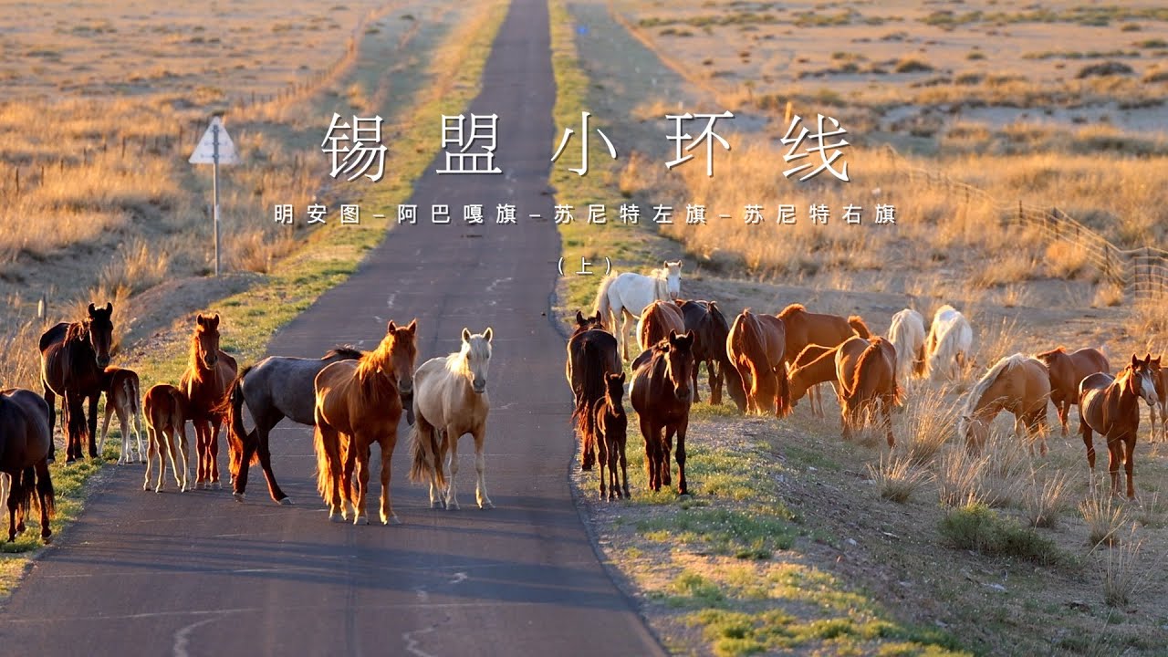 一场充满惊喜的未知之旅，邂逅了内蒙古草原那达慕