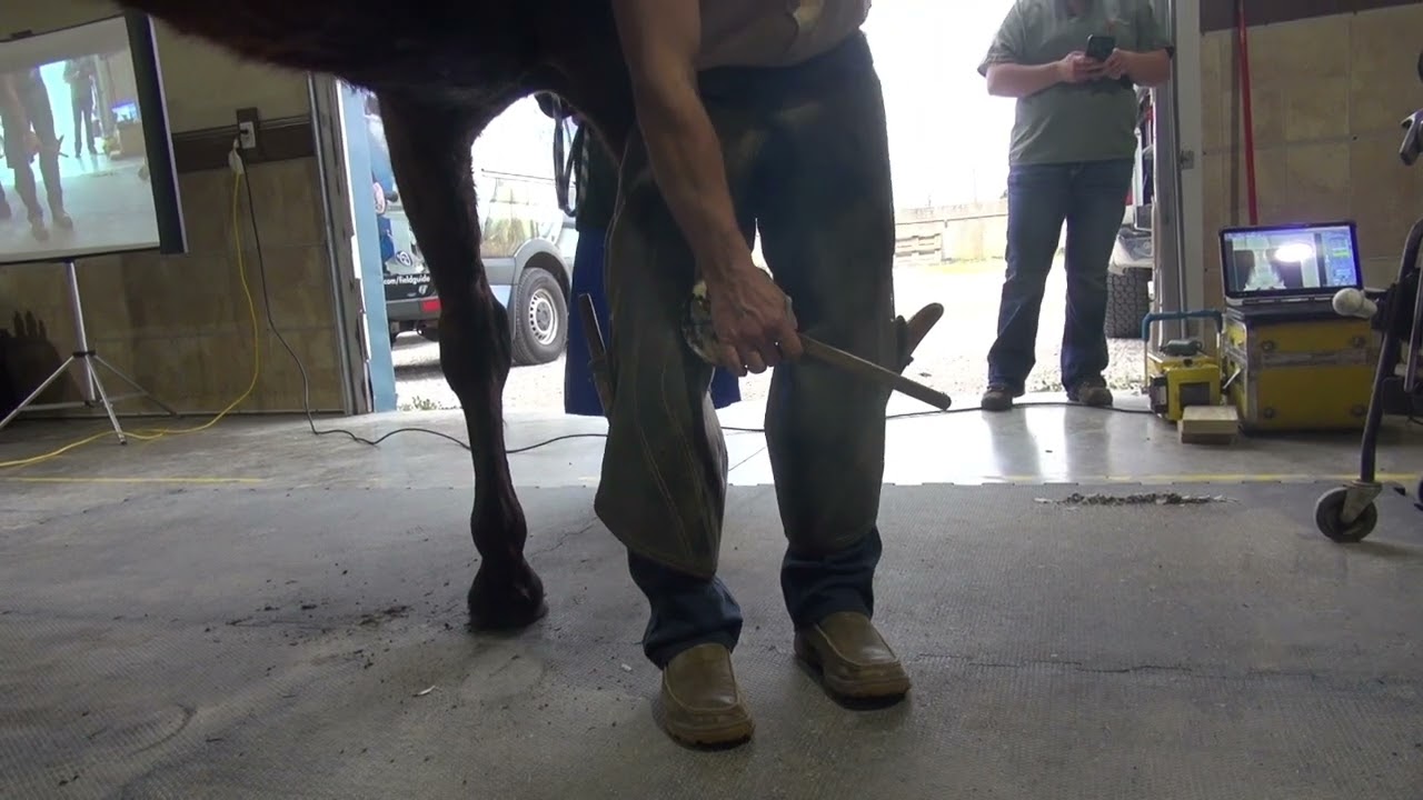 INDIANA FARRIER CLINIC: Strong Bars