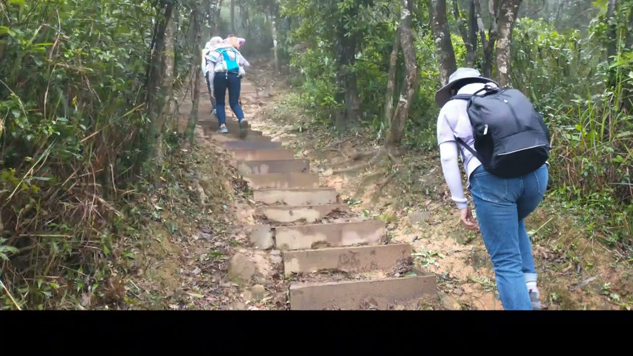 Wu Tip Shan Path to Tai To Yan Path