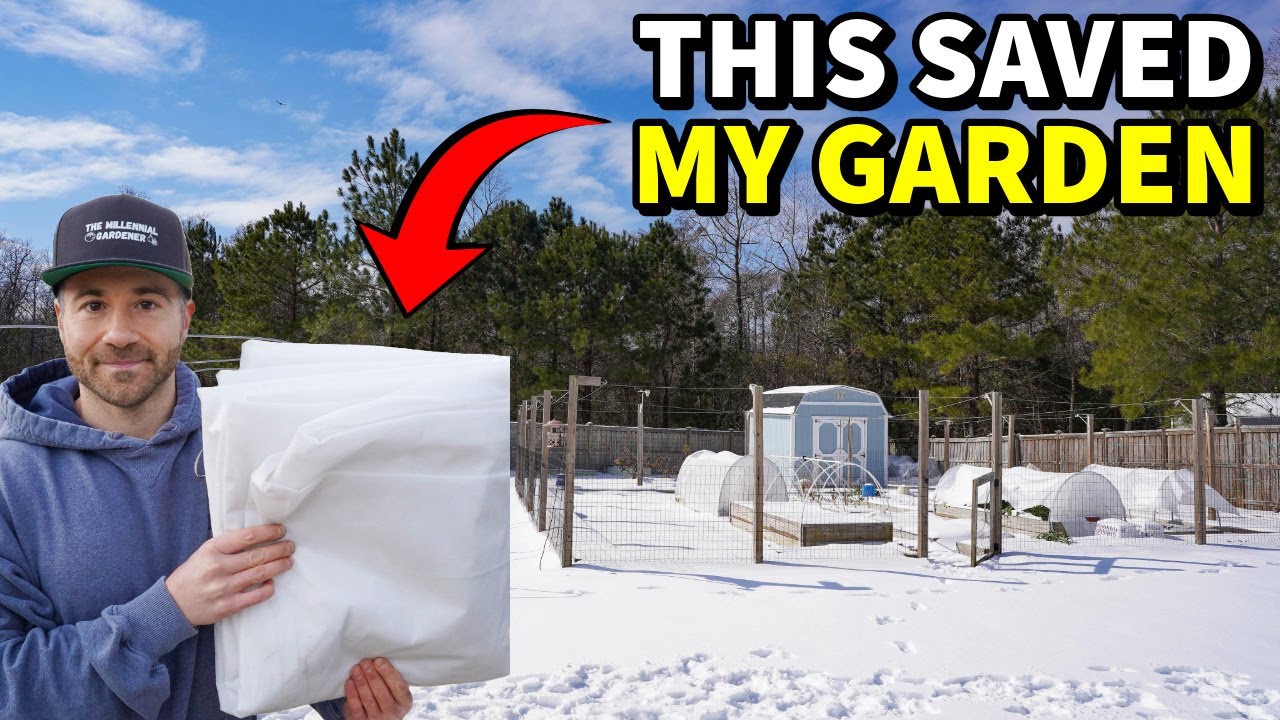 These Fabric Row Covers SAVED MY GARDEN: Amazing Results!
