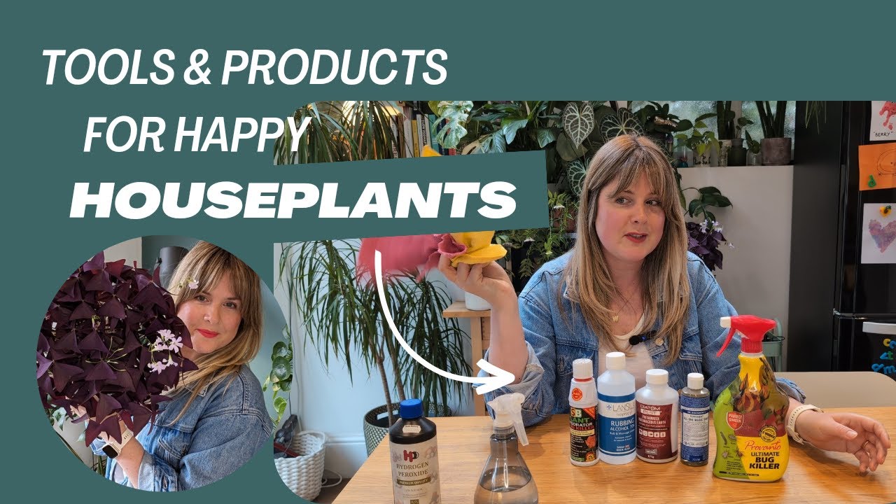 Want HAPPY HOUSEPLANTS? Use these products & tools 🌱