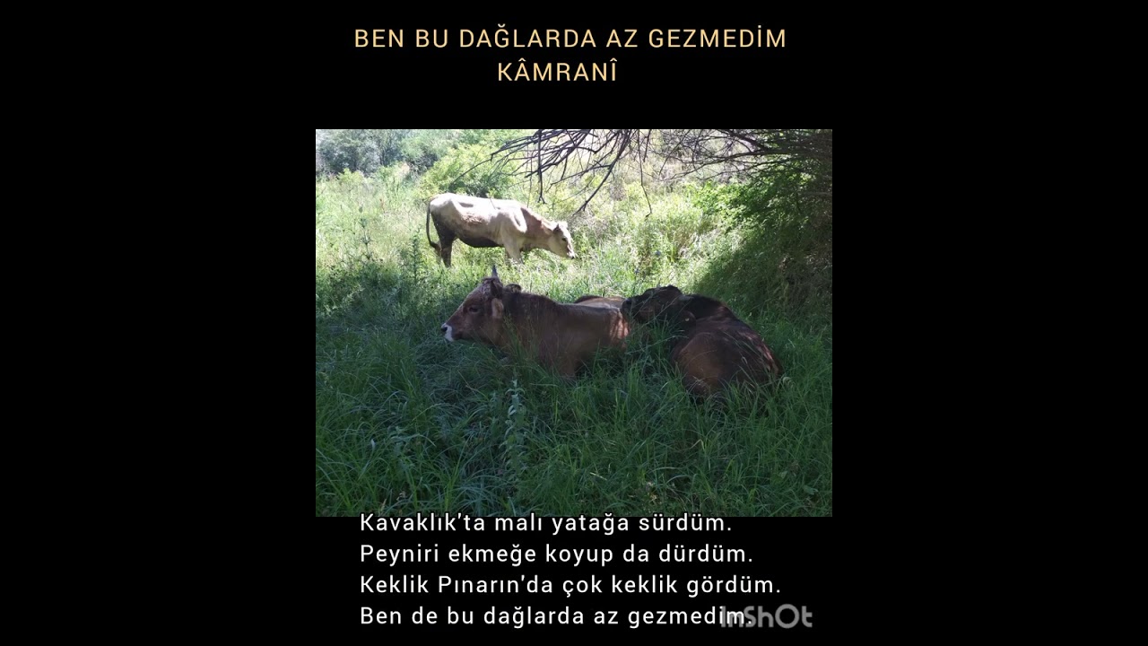BEN BU DAĞLARDA AZ GEZMEDİM 