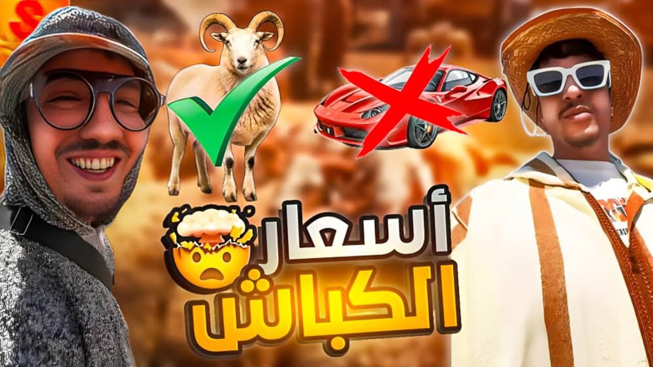 أسعار الكباش في الجزائر 2025 ، غاليين على الطنوبيلات ؟!