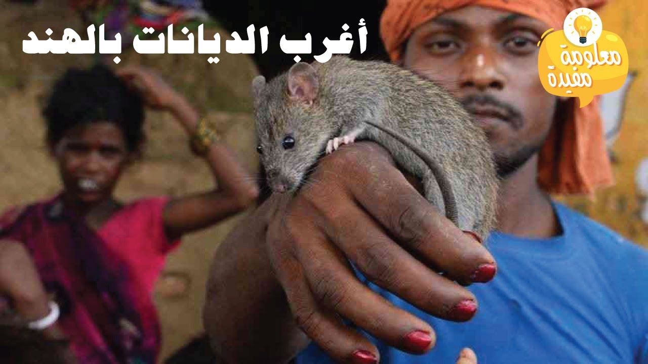 أغرب الديانات في الهند - شيء لا يمكن تخيله