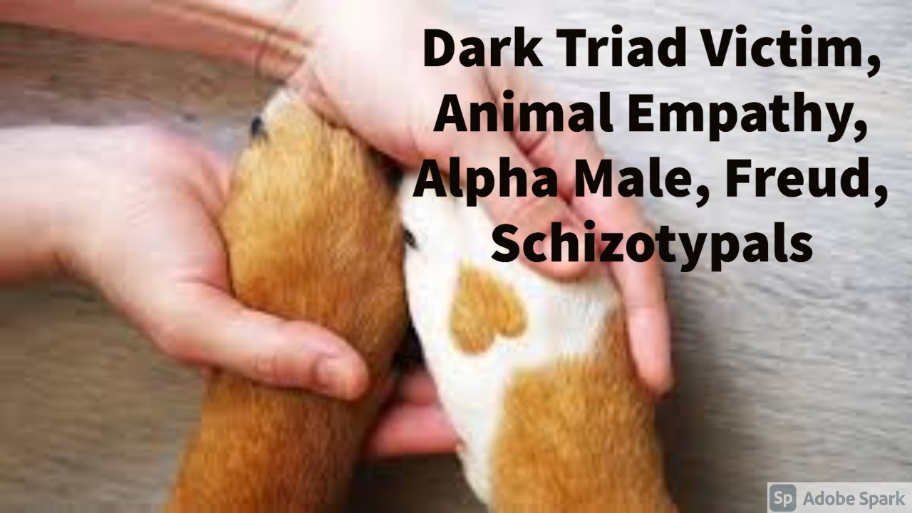 Dark Triad Victims, Animal Empathy, Alpha Male (+Schizotypals, Freud)
