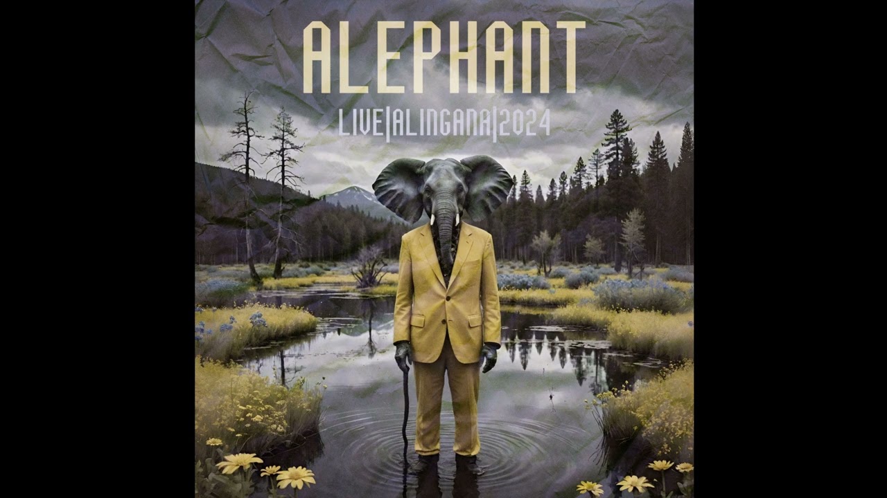 Alephant - Light sour (live 2024 | Alingana Festival, Settimo Torinese)