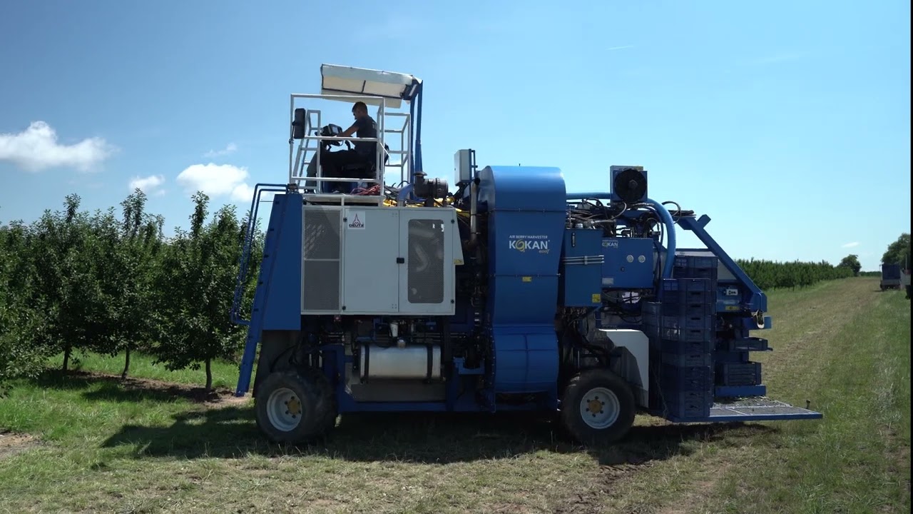 KOKAN vazdušni berač-Višnja/ Kokan Air Harvester of Cherry