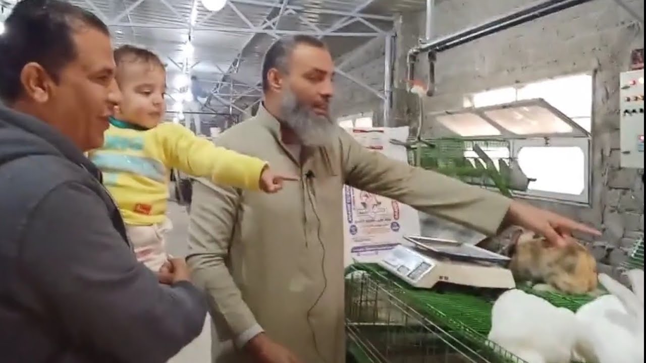 الشيخ سامر ضحك على الشراقوه الارنب بيفرح ويزعل وكله منك
