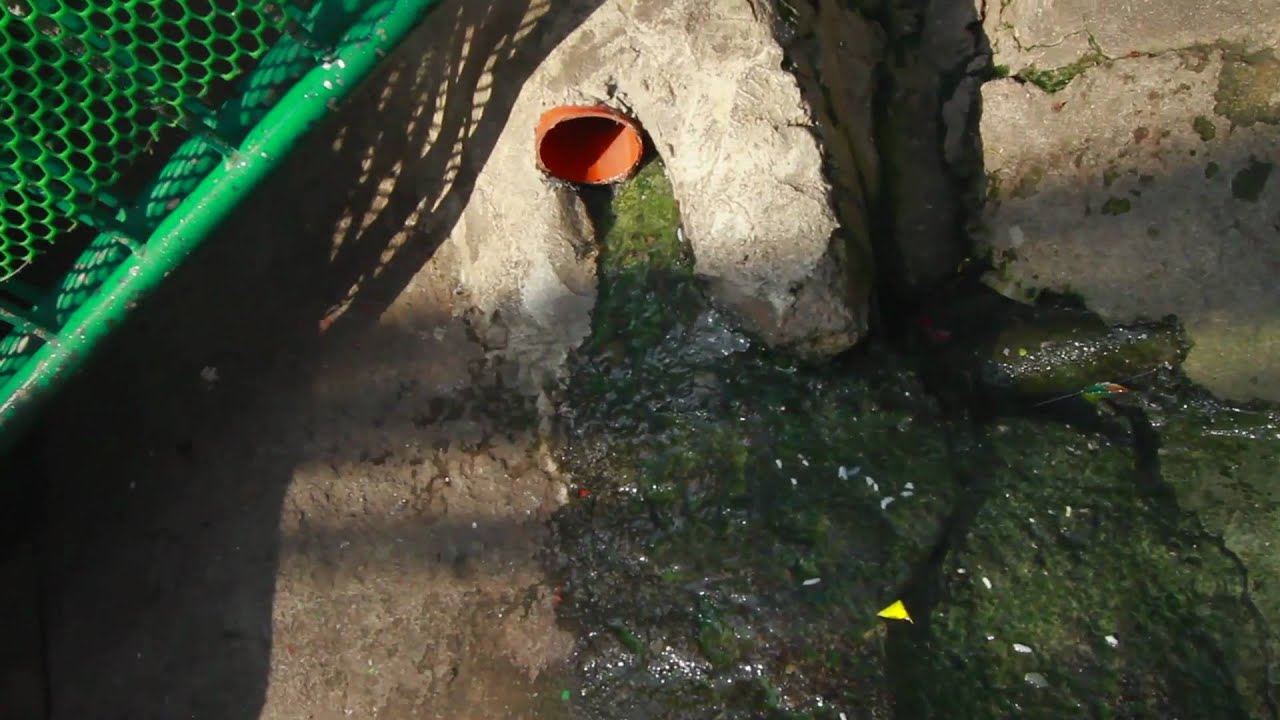 MONDOMANILA Holy Drinking Water | this is not a short film by khavn