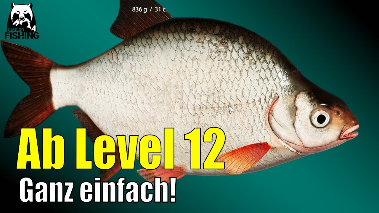 Russian Fishing 4 - Alte Festung - 🎣Level 12 Güster an der Alten Festung #rf4
