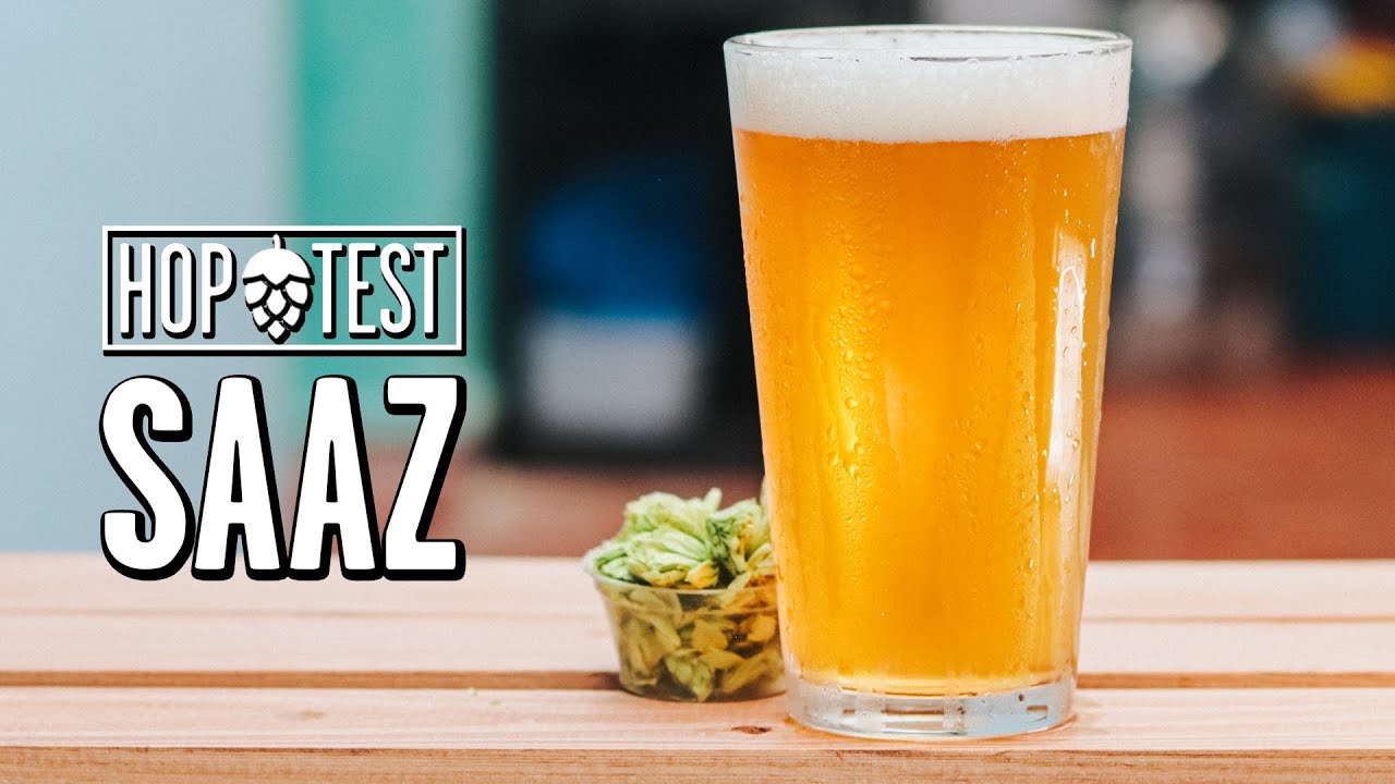 Dry Hopping de Saaz? HopTest ep.15: Lúpulo SAAZ