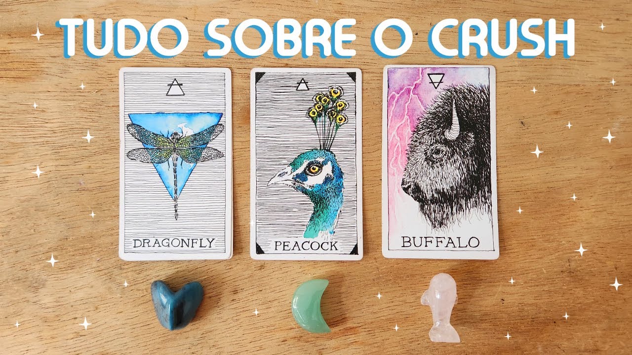 💖 TUDO SOBRE O CRUSH 💖