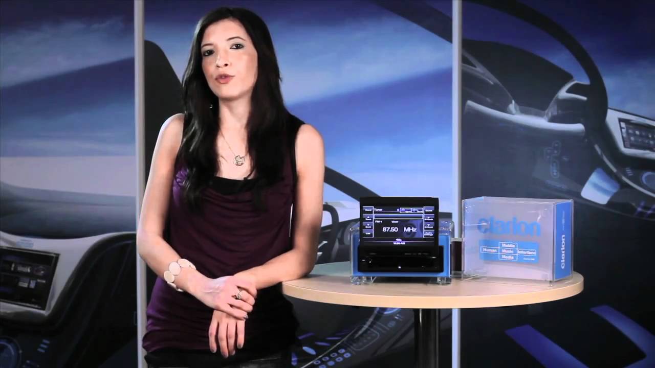 Clarion VZ401   1  Introduction
