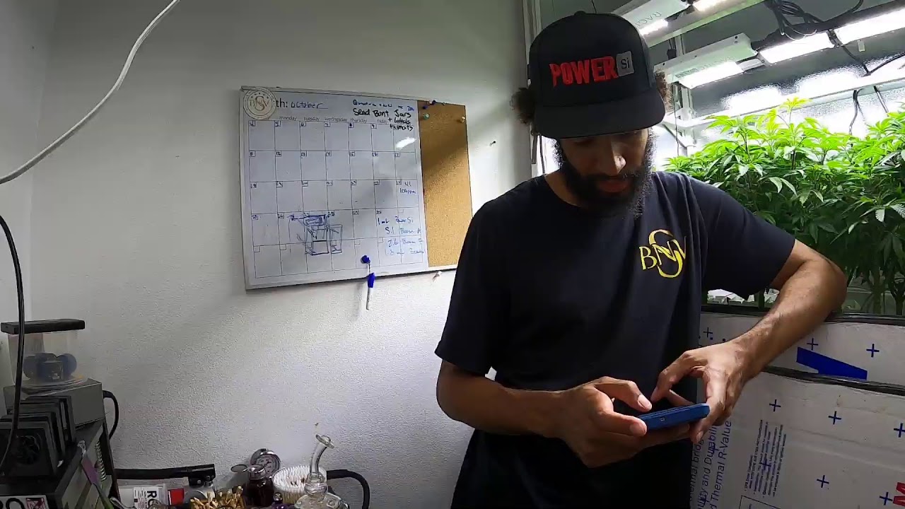 The Daily Dab - Grow Room Work