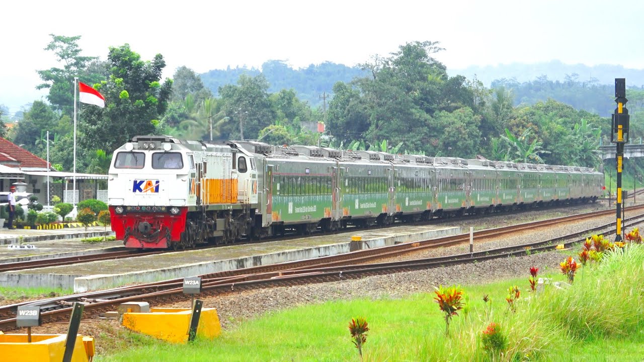 KERETA API PANJANG‼️ MENEMUKAN 24 KERETA API DI STASIUN DAN TIKUNGAN