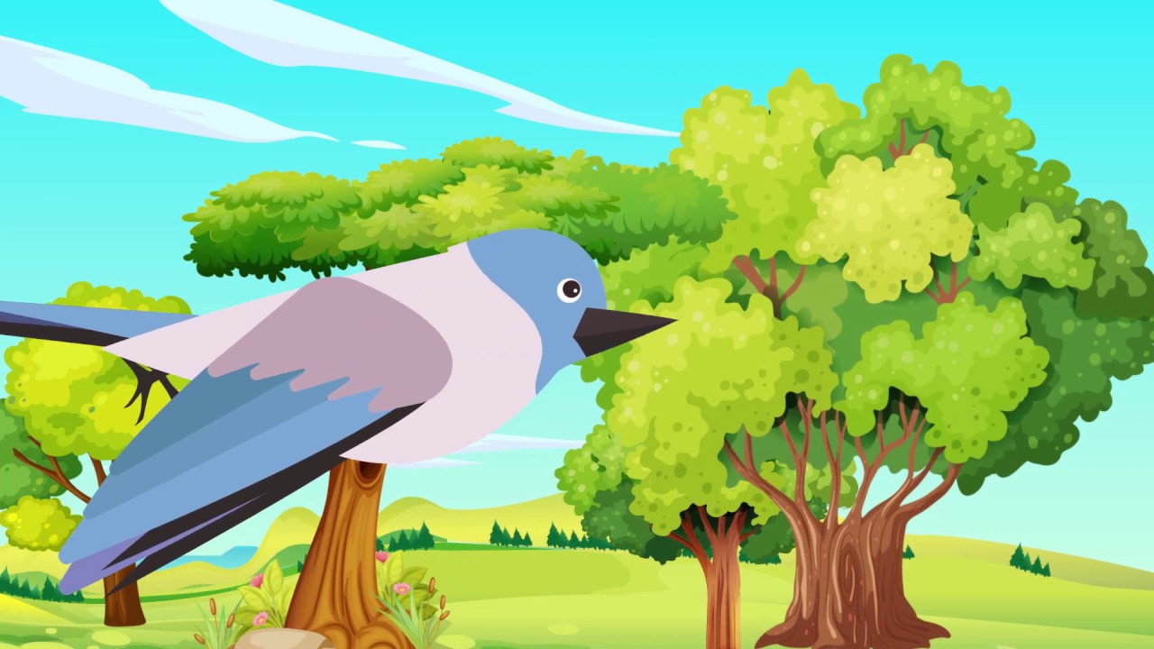 Tu sroczka kaszkę warzyła - Baśniowa Kapela - piosenki dla dzieci🐦🥰😊