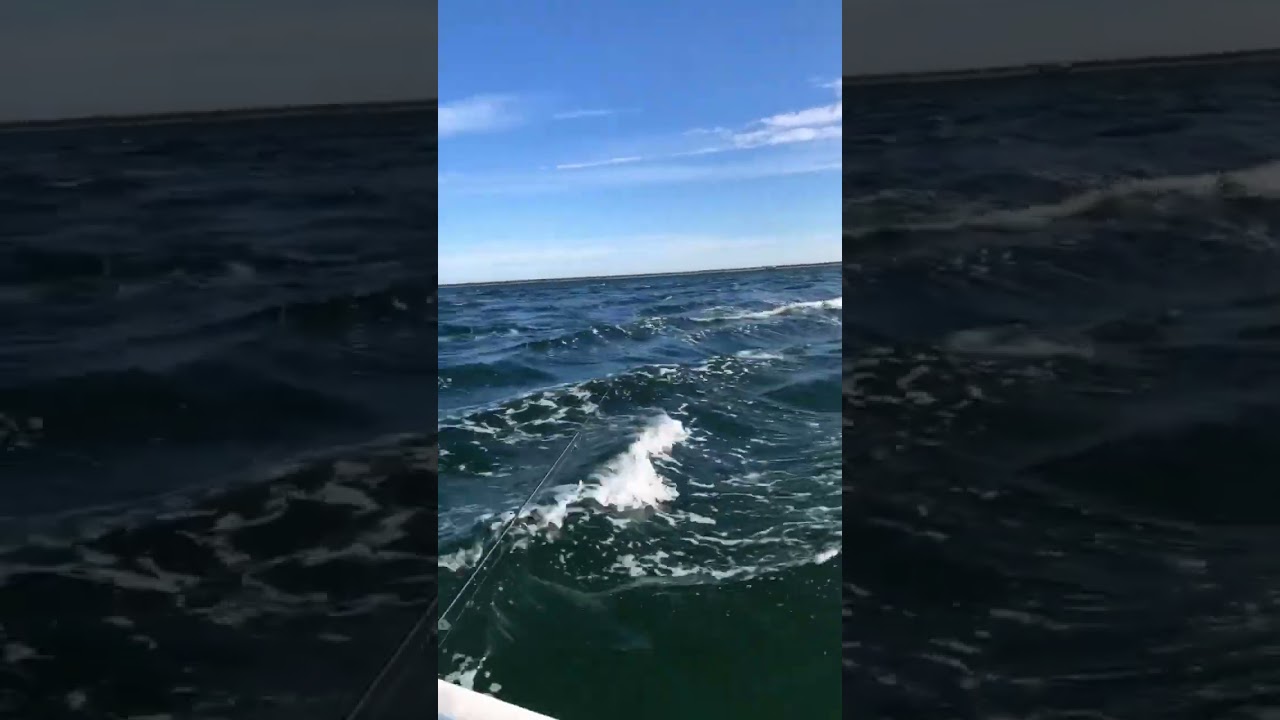 Riptide in the middle of the ocean.