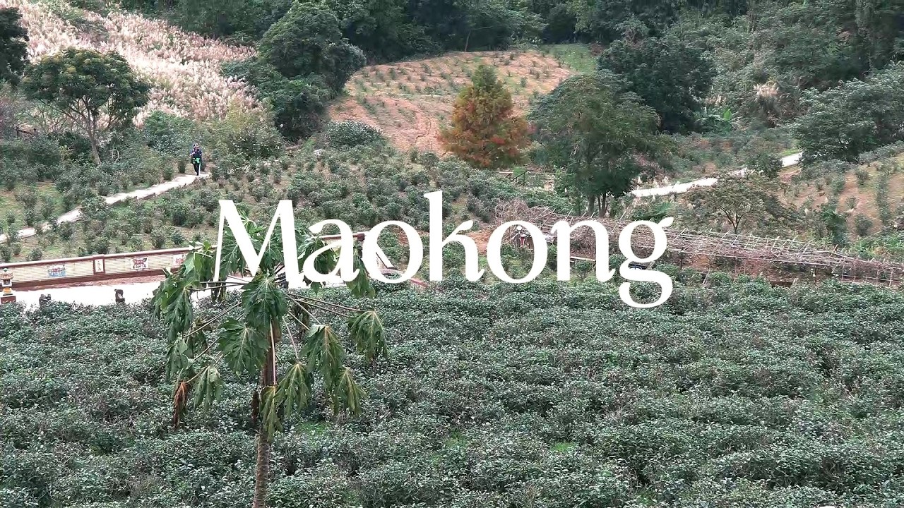 🇹🇼 Taiwan Vlog 2026 | A Quiet Day in Maokong / Hidden Mountain / First time Pudding / Solo traveler