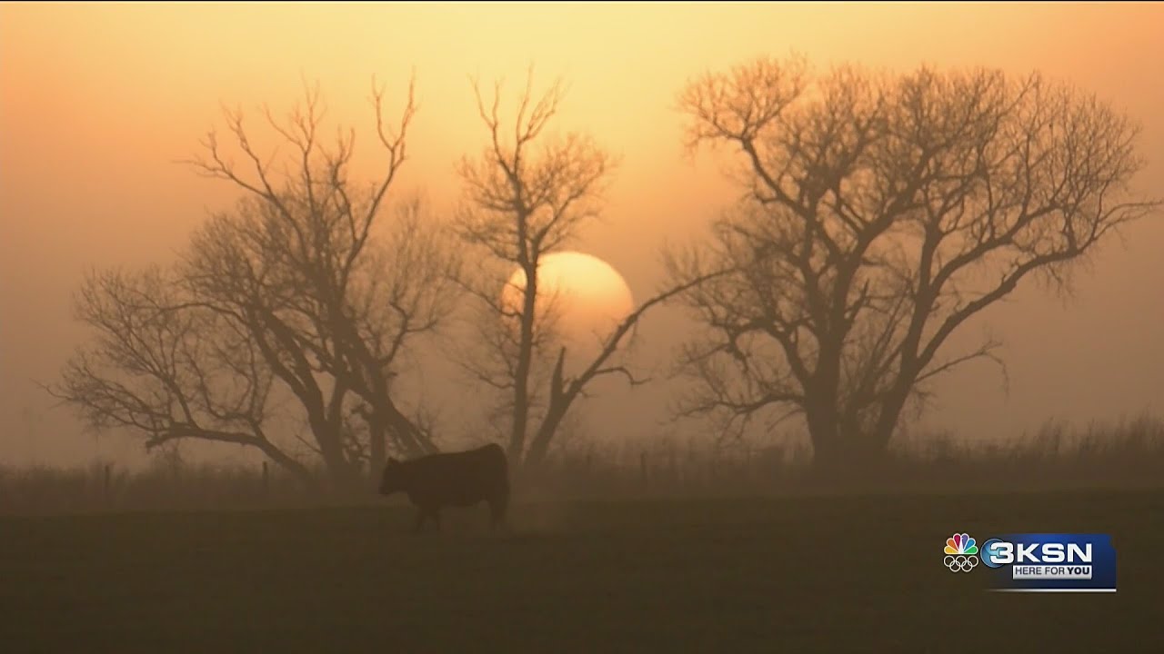 Ashland rancher loses hundreds of cattle in Ranger Road Fire