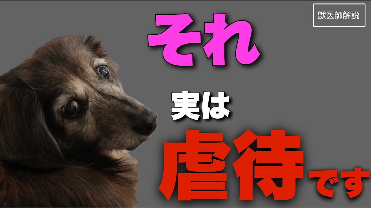 【寿命】獣医師が見てゾッとする飼い主の行動５つ
