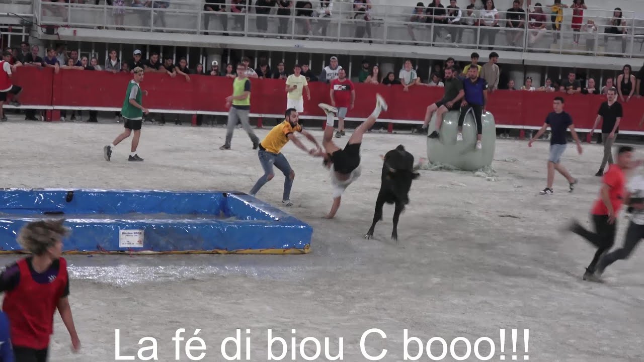 LUNEL ▶TOROS PISCINE◀ 04.06.2024 (manade Rousseau)🤣🤣🤣.