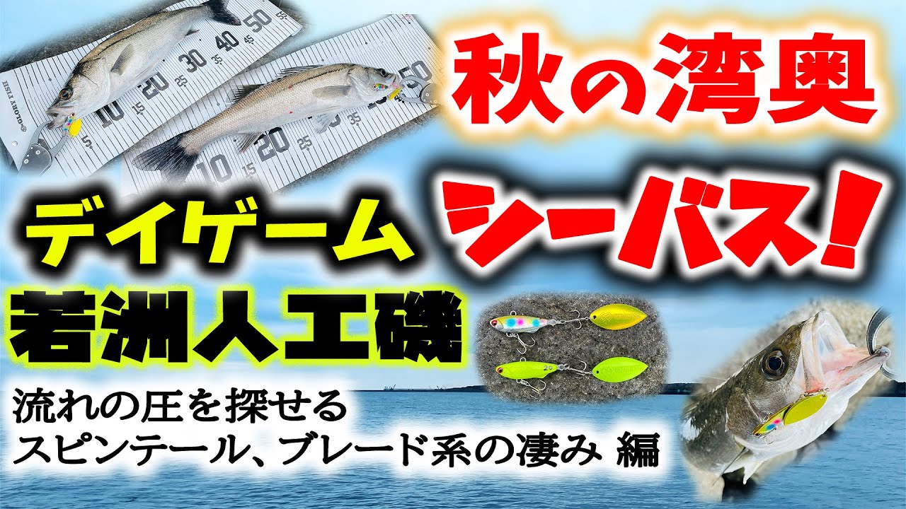 若洲人工磯 秋の湾奥デイゲームシーバス！ - 流れの圧を探せるスピンテール、ブレード系ルアーの凄み -