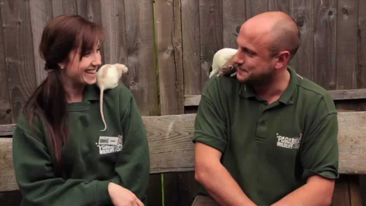 Zoo News | May 2014