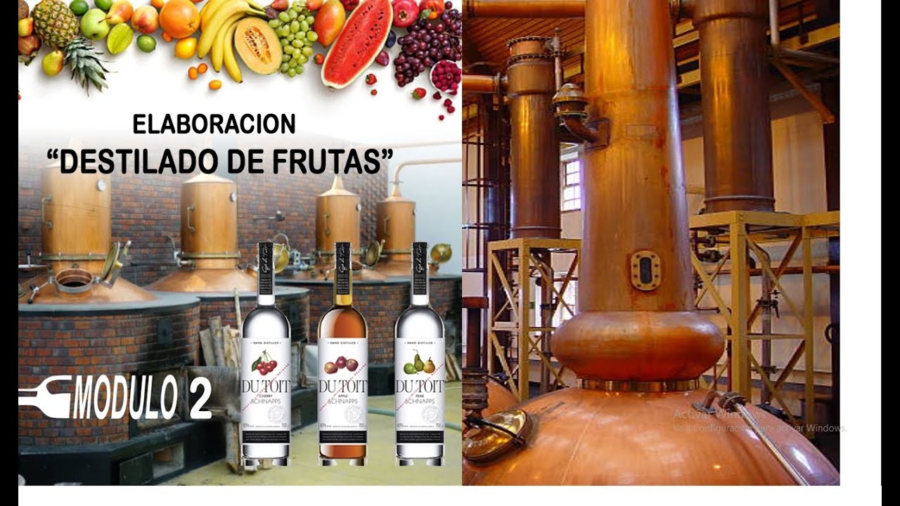 DESTILADOS DE FRUTAS 2024