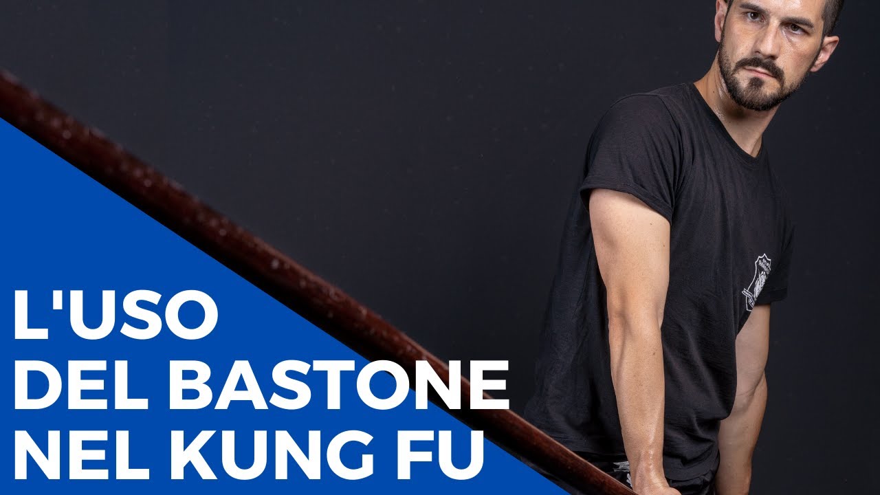 L'uso del BASTONE nel KUNG FU [ Scoprire il Pak Hok Pai ]