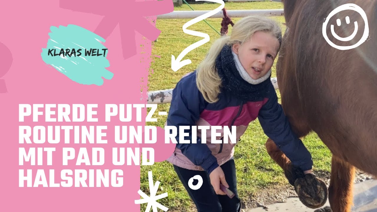 Pferde Putz-Routine und Reiten mit Pad und Halsring