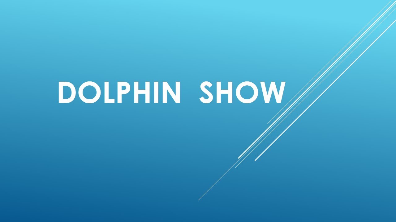 DOLPHIN SHOW