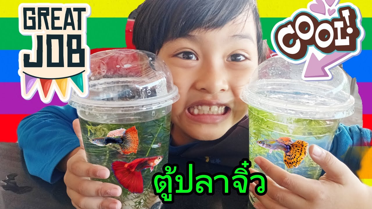 น้องคาโต้ | ทำตู้ปลาจิ๋ว ไว้ดูเล่นกันค้าบ😍