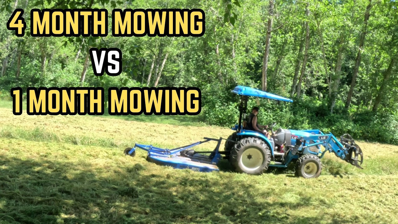 How Often Do You REALLY Need to Mow? Field and Pasture Management