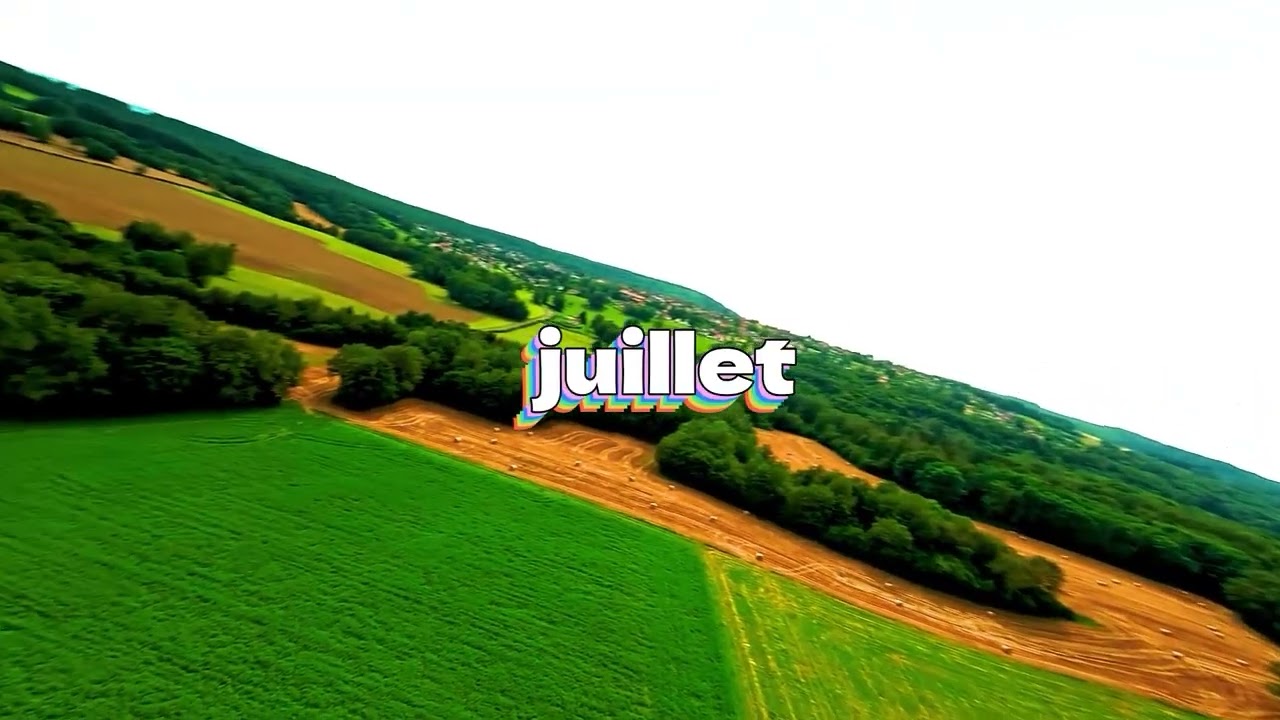 vols FPV 2025 au fil des saisons