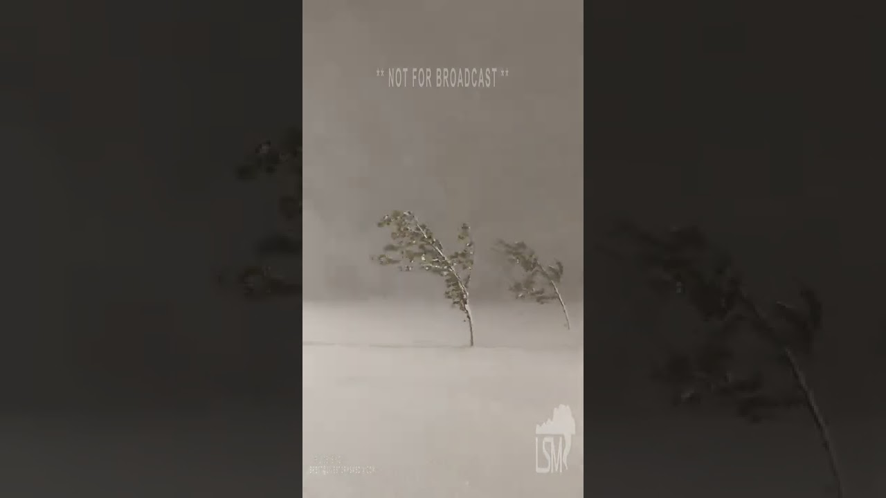 Thundersnow and Wind during a Blizzard in Buffalo, NY