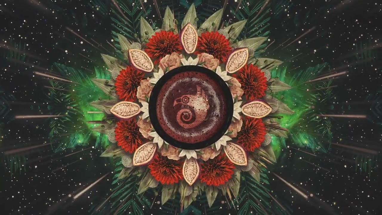 Mose - Cacao Dance DJ Set @ Eagles Nest Atitlán