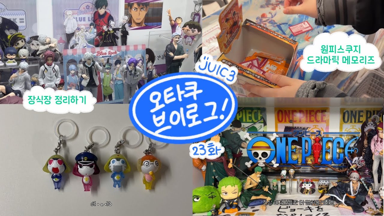 오타쿠 브이로그 ep.23 [원피스 쿠지•케로로 치비 메지루시•장식장 정리해요!]