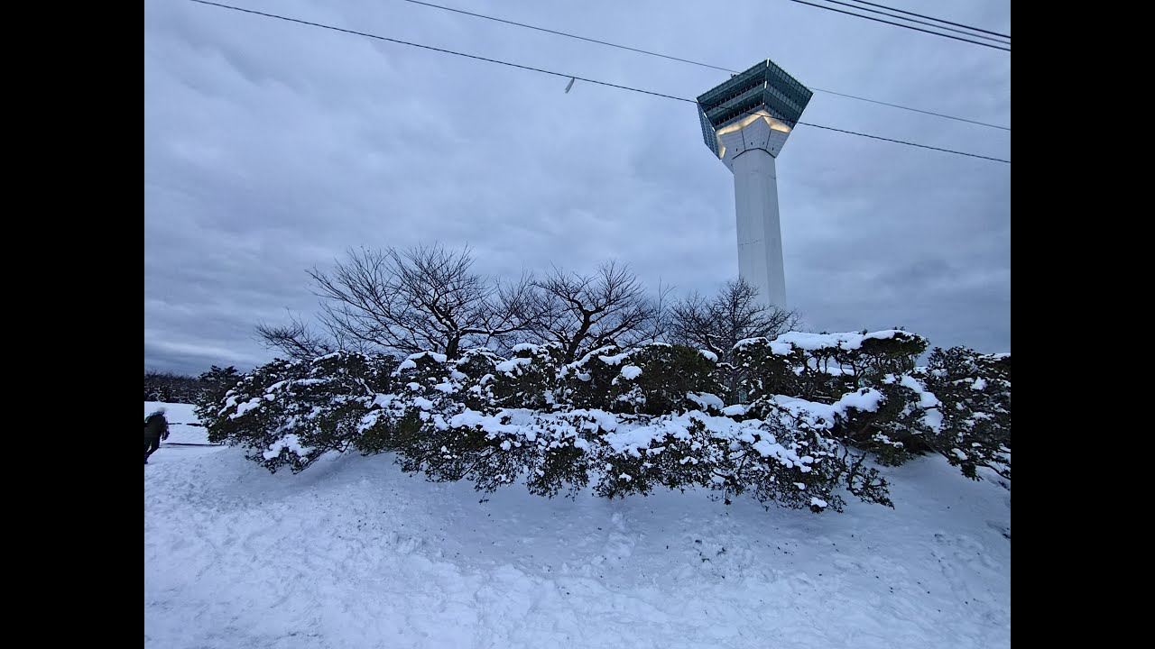 北海道函館五稜郭公園-20260103