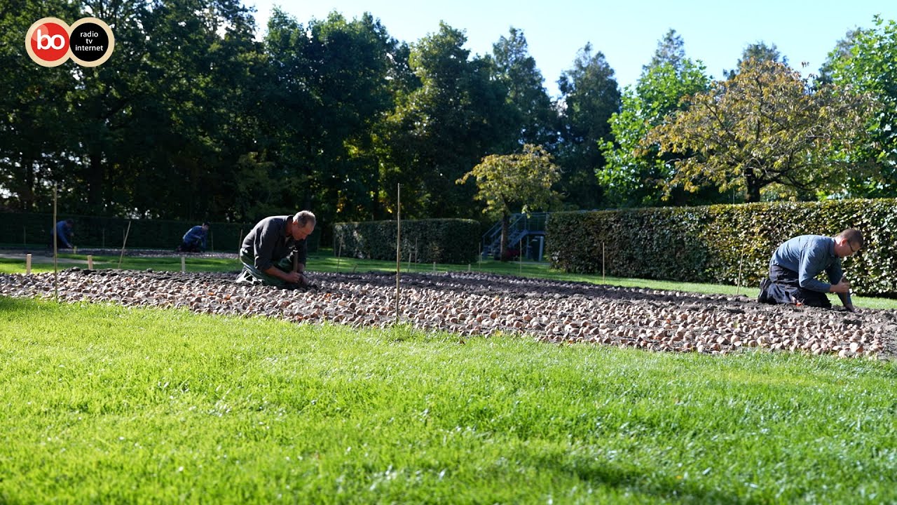 Keukenhof plant eerste van de 7 miljoen bloembollen