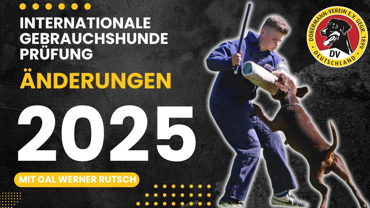 IGP Prüfungsordnung 2025: Alle wichtigen Änderungen erklärt – Mit OAL Werner Rutsch
