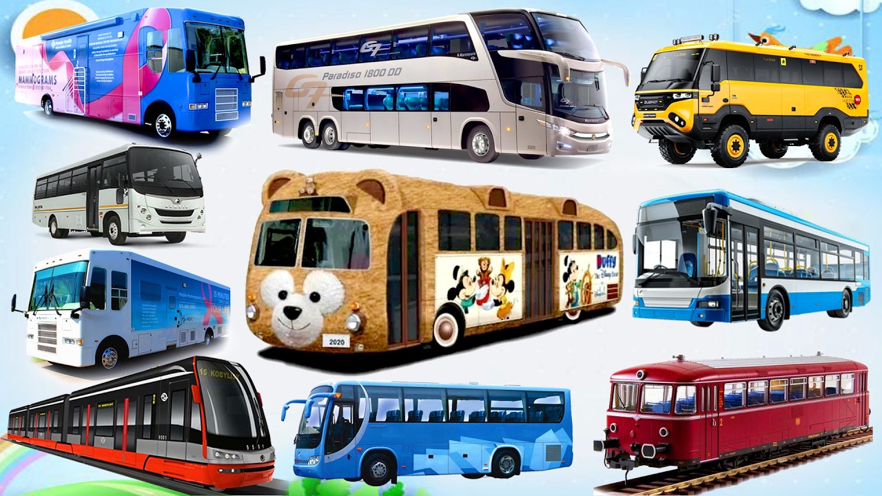 Xe Buýt Gì Đây? 🚍 Các Loại Xe Buýt Cho Bé P4 | Xe Buýt Y Tế, Xe Buýt Địa Hình, Xe Buýt Đường Sắt
